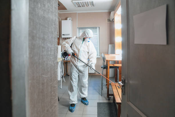 Best Dehumidification Services  in Hinton, WV