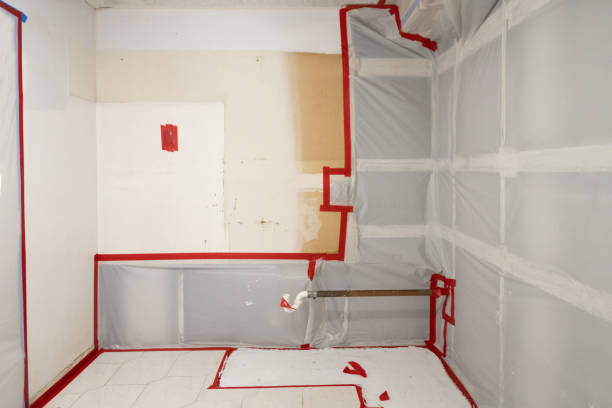 Best Environmental Consulting for Mold Prevention  in Hinton, WV