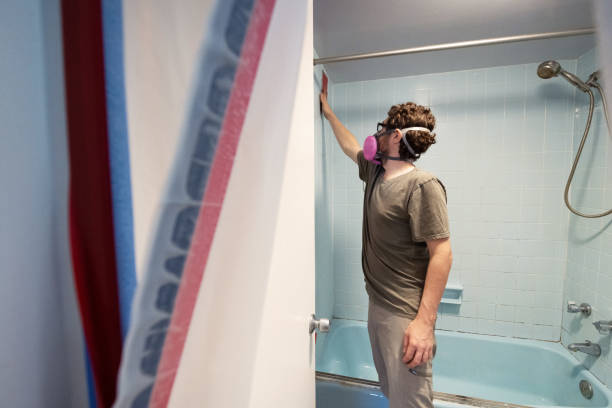 Best Attic Mold Removal  in Hinton, WV