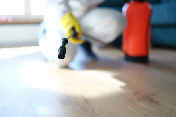 Best Emergency Mold Remediation  in Hinton, WV