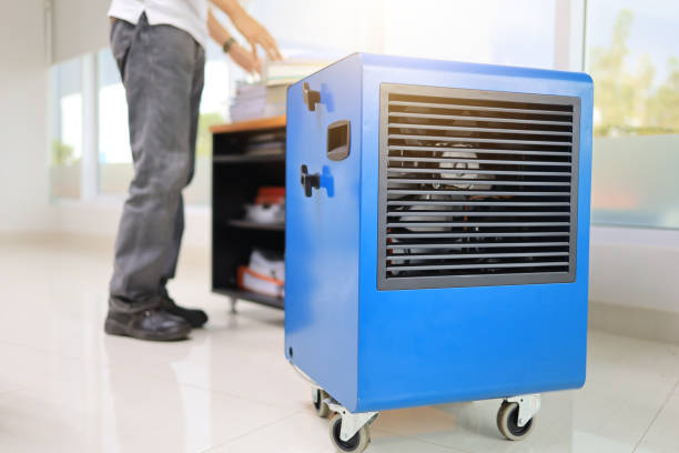 Best Comprehensive Air Testing for Mold Contaminants  in Hinton, WV